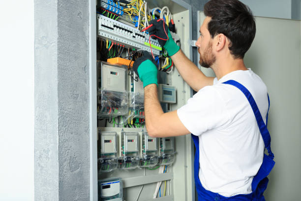 Best Electrical System Inspection  in Lillington, NC